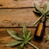 Why Is CBD Becoming so Popular?