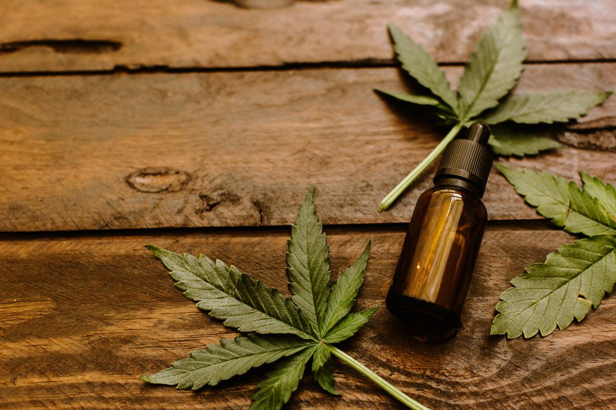 Why Is CBD Becoming so Popular?