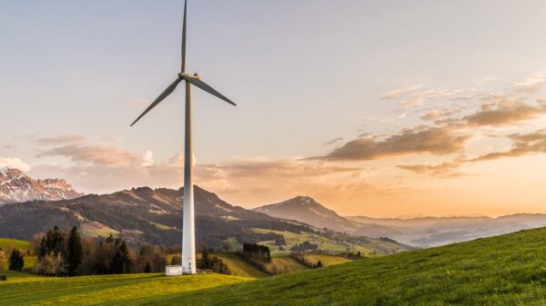 A Quick Guide to the Different Types of Renewable Energies