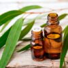 9 Ayurvedic Herbs Essential for Back and Joint Pain Oil 